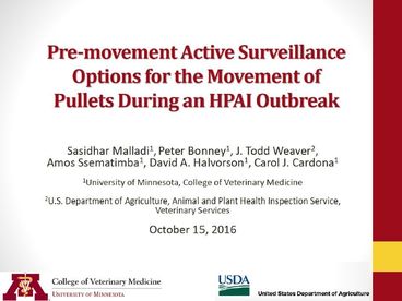 Pre-Movement Active Surveillance Options for the Movement of Pullets During an HPAI Outbreak
