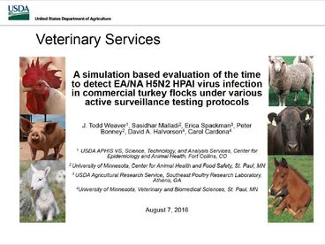 A Simulation Based Evaluation of the Time to Detect EA/NA H5N2 HPAI Virus Infection in Commercial Turkey Flocks under Various Active Surveillance Testing Protocols