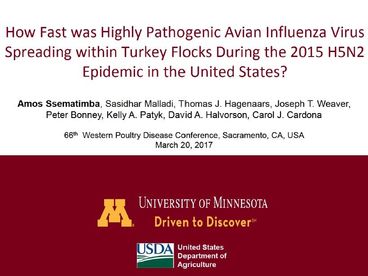 How Fast was Highly Pathogenic Avian Influenza Virus Spreading within Turkey Flocks during the 2015 H5N2 Epidemic in the United States?